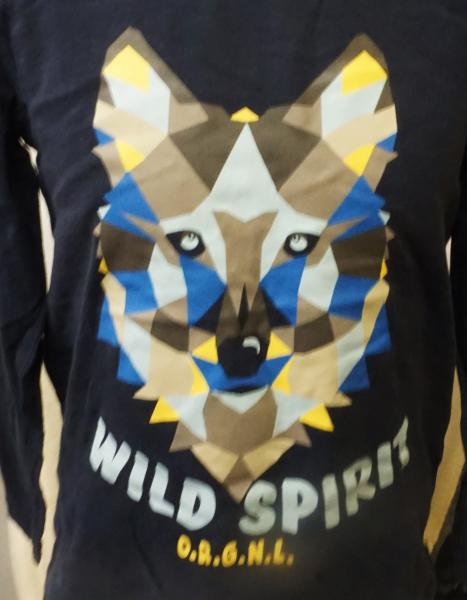 Langarmshirt Gr. 110/116 von Lupilu (2218)